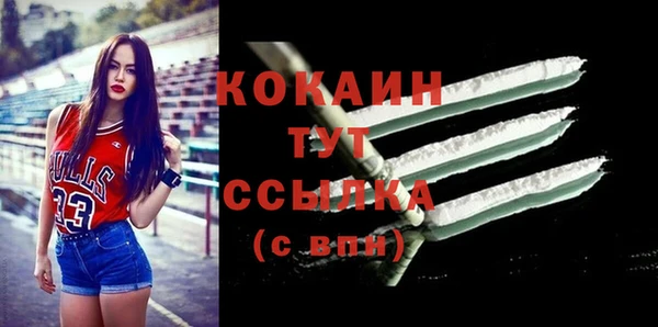 МДПВ Аша