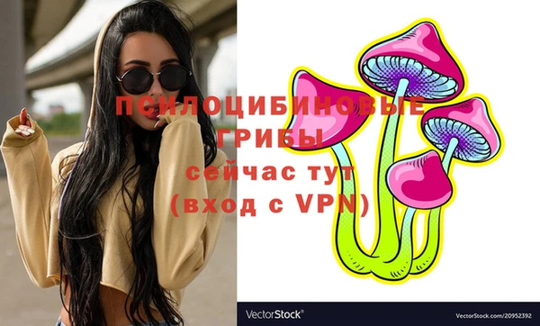 мяу мяу мука Нея