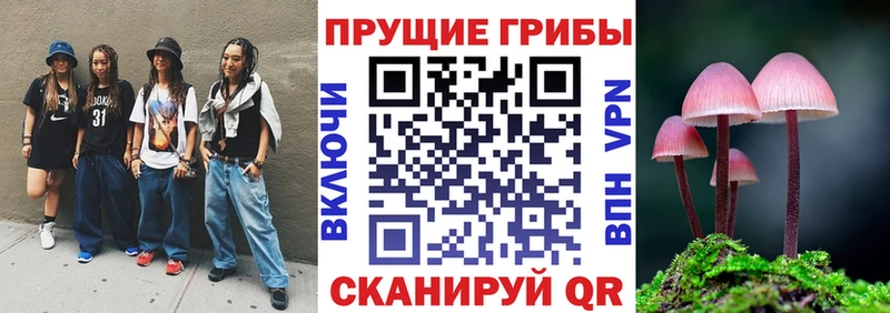 наркошоп  Кувшиново  Псилоцибиновые грибы мухоморы 